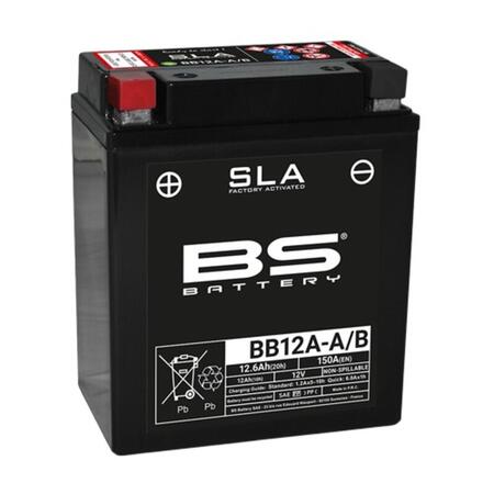 300881 BB12A-Ab