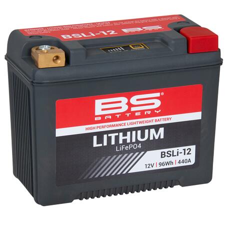 BSLI-12