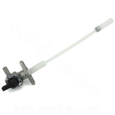 AS420359B